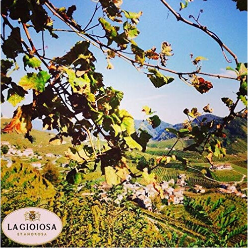 La Gioiosa Rosea Brut, 75 cl 2