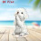 Desktop Standee 2D Flat Acrylic Tabletop Ornament- SCT486 6
