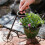 Decorative Creative Retro Iron Flower Pot Convenient Metal-B 6