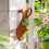 Skurriler Blumentopf mit hohem Absatz aus Eisen,-1Stk 7