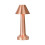 Dimmable Touch Table Lamp Metal ABS21cm Gold 1