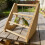 Simple Care Chicken rest area compiled From Secure Wood Substance 7