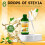 NKD Living Stevia Liquid Drops 50ml (New Label Design) - Vanilla 2