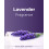 Phoenix Phoenix Soft Lavender Fragranced Luxury Toilet Roll 2