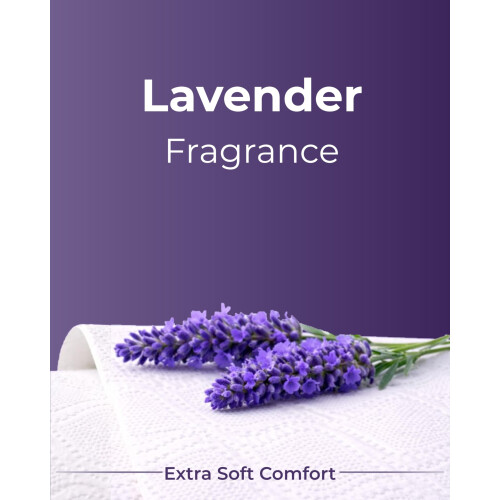 Phoenix Phoenix Soft Lavender Fragranced Luxury Toilet Roll 1