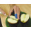 Safety First Aid Group Evolution Plus Catering Kitchen First Aid Kit British Standard 8599, Small Fully-Stocked 1-10 Persons 7