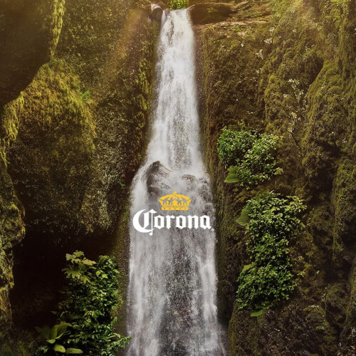 Corona Extra Lager Beer Bottle, 24 x 330 ml 2