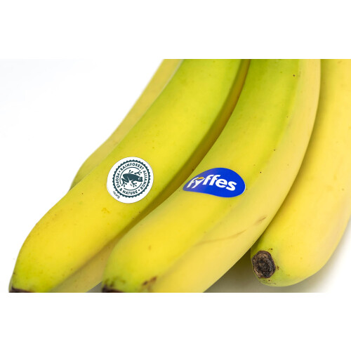 Fyffes Medium Ripe  Ready Bananas 5 pack 2