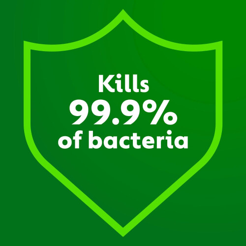 Dettol Dettol Multipurpose Concentrated Disinfectant Liquid Antibacterial Eucalypt 1