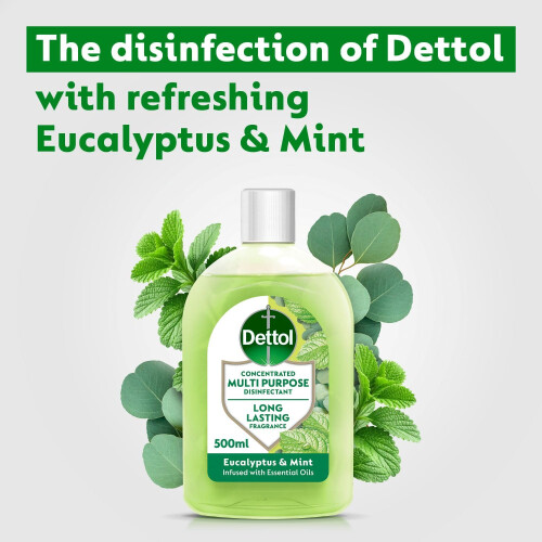 Dettol Dettol Multipurpose Concentrated Disinfectant Liquid Antibacterial Eucalypt 2