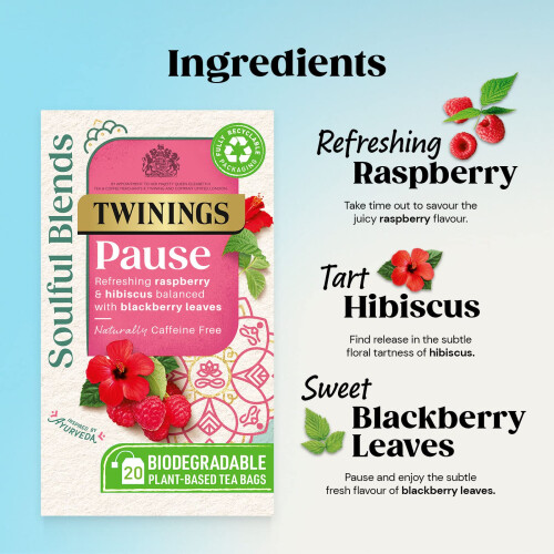 Twinings Twinings Soulful Blends Pause Inspired by Ayurveda  Refreshing Raspberry  H 2
