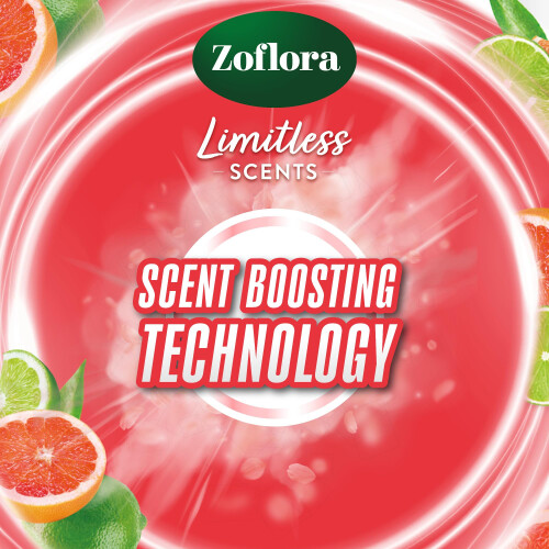 Zoflora Zoflora Rim Blocks Grapefruit  Lime 2 x 131g Pack Freshness  Odour Con 1