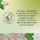 Twinings Twinings Jasmine Green Tea, 80 Tea Bags 3