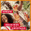 Beefeater Blood Orange Flavoured Gin, 1