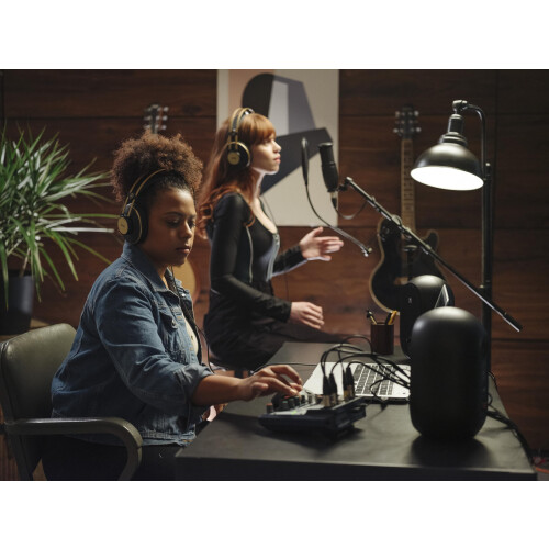 AKG AKG P120 High Performance General Purpose Recording Microphone, Studio Quality, Large Diaphragm, Highly Versatile, Rugged and Robust Design - Black 2