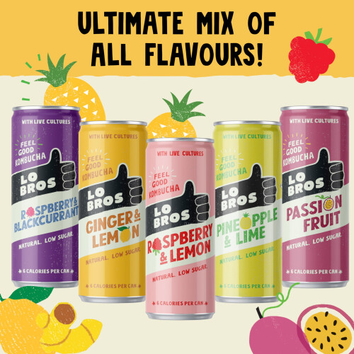 Lo Bros Kombucha Drink Ultimate Variety Pack  Sparkling Refreshing Sof