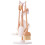 New Classic Toys - Set de limpieza de madera 2