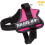 JULIUS-K9Powerharness, Size: XS/Mini-Mini, Aquamarine 2