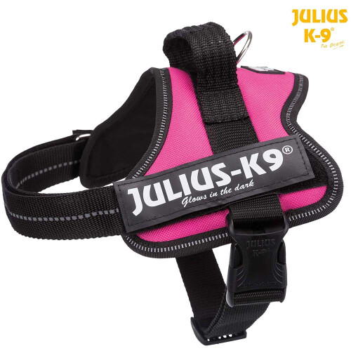 JULIUS-K9Powerharness, Size: XS/Mini-Mini, Aquamarine 1