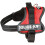 JULIUS-K9Powerharness, Size: XS/Mini-Mini, Aquamarine 7