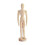 Zeichenfigur für Künstler mit-12 Zoll 1