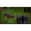 Haya Home 500 75l Plastic Bin Bags Bin Liners, Refuse Sacks Pack 50 x 5