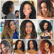 10 Packs Yanky Twist Crochet Hair 16 Inch Pre-twisted Natural Black Kinky Mini Spring Small Curly Senegalese Twist Braids Yankee (T350(Ombre Ginger Re