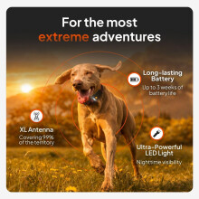 Weenect Dog XT - NEW GPS Collar for Dogs | XL Antenna | Waterproof | Ultra-Durable Integrated Julius-K9 Orange Collar Subscription required
