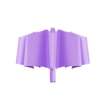 Foldable Automatic Umbrella107cm10-Rib Steel Frame