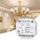 2x Triac RF LED Dimmer 120W-288W for S1-B Compatibility 3