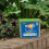Westland Westland Boost Slow Release Plant Food 2kg 2