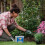 Westland Westland Boost Slow Release Plant Food 2kg 3
