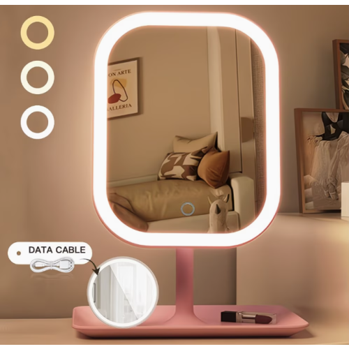 2PCS (1 x LED Vanity Mirror with Light