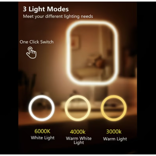 2PCS (1 x LED Vanity Mirror with Light 1