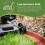 FlexiBorder 6m Black Flexible Garden Edging Border | Rubber Lawn Edging 6