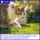 Silent Roar Lion Manure - Cat Repellant 1