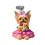 Type C Dust Plug 2D Acrylic Phone Dust Plug Charms Phone-Style7 1