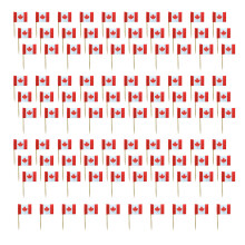 Kleurrijke nationale vlag taart picks decoraties voor-Canada