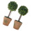 Artificial Succulents Plant Simulation Succulents Small-2 2 1