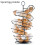 Practical Helical Eggs Rack for Homes Kitchens Feature-Black 5