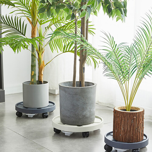 Mobile Plant Caddy with Wheels and Water Tray 2