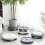 Mobile Plant Caddy with Wheels and Water Tray 4