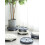 Mobile Plant Caddy with Wheels and Water Tray 5