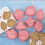 8-Piece3D Biscuit Cutters, Food-Grade PP, Pink 4