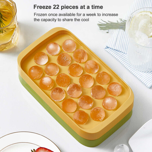 Hard Plastic Ice Cube Mold with Storage Box 1