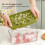 Hard Plastic Ice Cube Mold with Storage Box 4