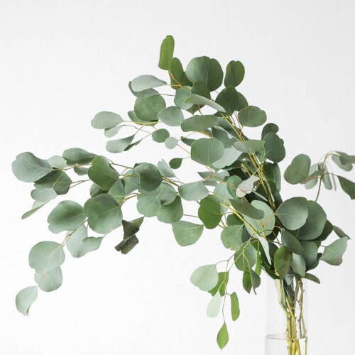 50pcs Artificial Eucalyptus Leaves7cm Silk & Plastic 1