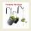 Metal Wall-Mount Hanging Basket Hook4Pack 5