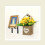 Metal Wall-Mount Hanging Basket Hook4Pack 8