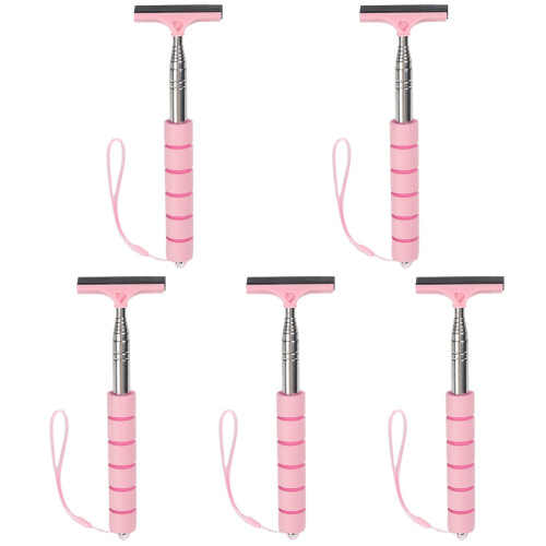 5Pcs Car Windshield Squeegee Pink Stainless Steel Side Mirror Cleaner
